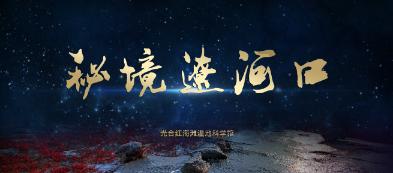 小猫钓鱼正版下载中文版