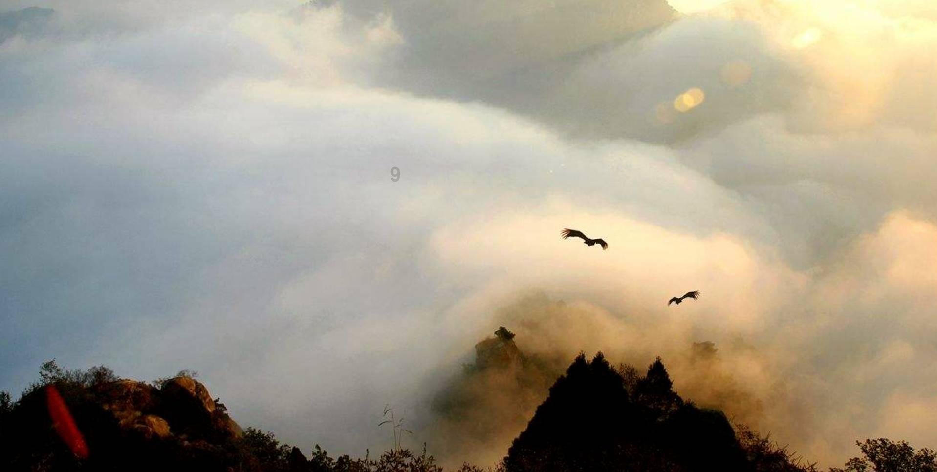 探索天涯问答交流平台怎么做好吃，水煮咸花生的家常做法